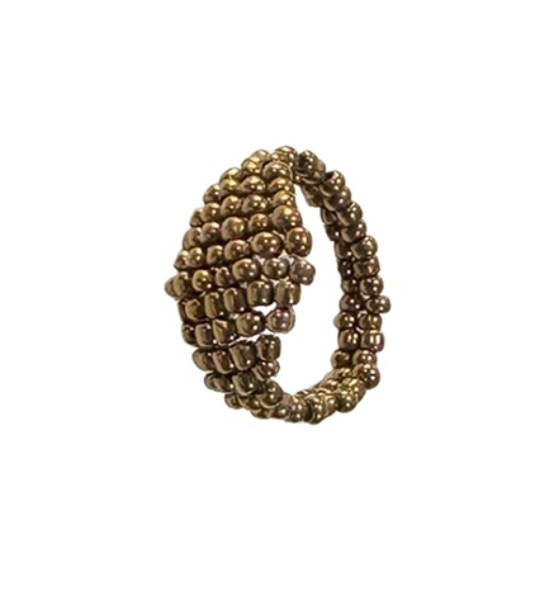 The Gaia Ring